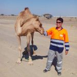 Voyage-Battinah-Expressway-Project-Sohar-Oman_Picture04