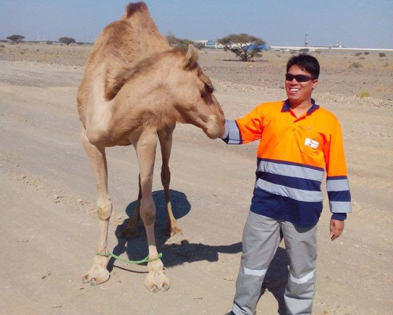 Battinah Expressway Project Sohar Oman Image 11