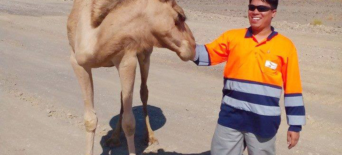 Battinah Expressway Project Sohar Oman Image 11